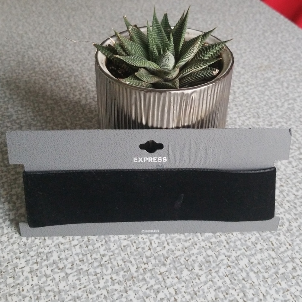 Express Wide Black Velvet Choker - Picture 3 of 5